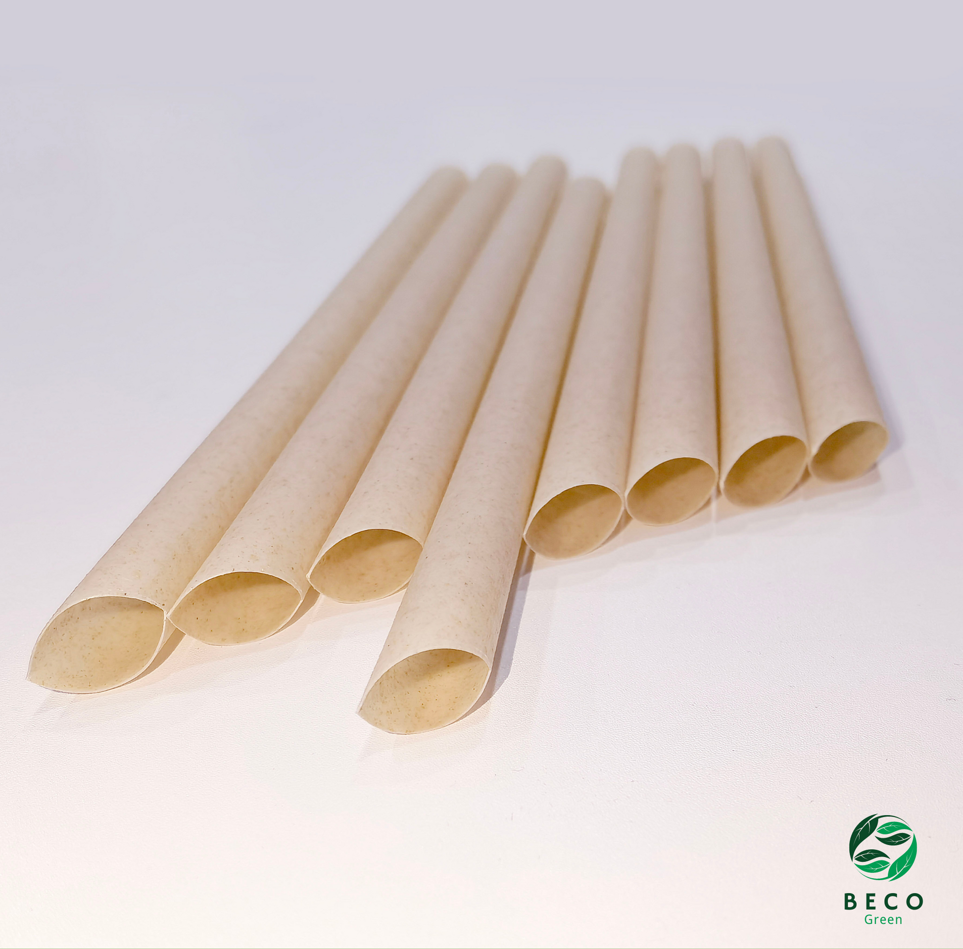 BECO Green Sugarcane Bagasse Fibre Straws